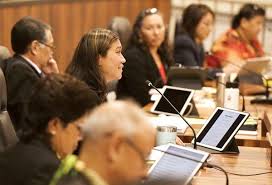 Councilmember Keani Rawlins-Fernandez speaks to cooperation on budget