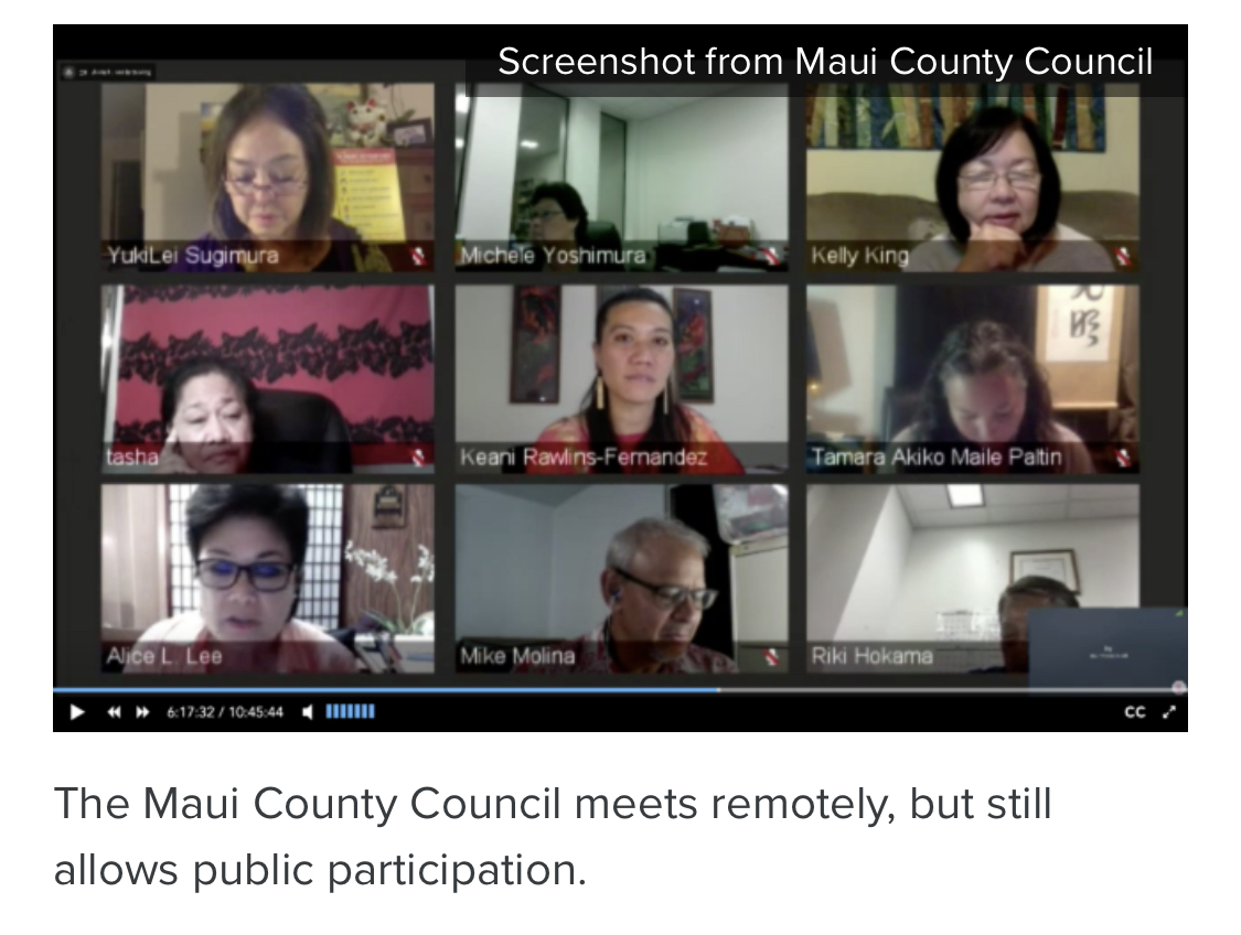 Maui County Councilmembers